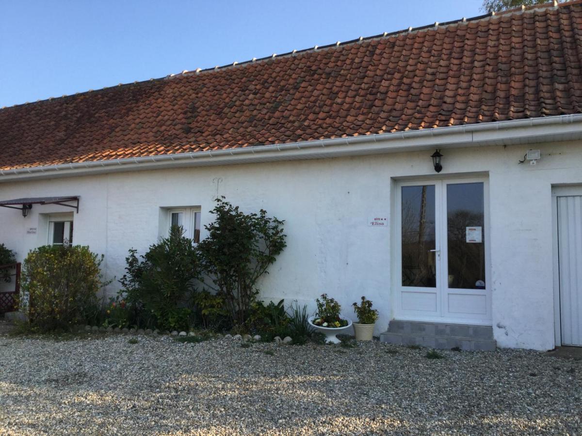 Gites Les Amis De L Authie Maintenay Exterior photo