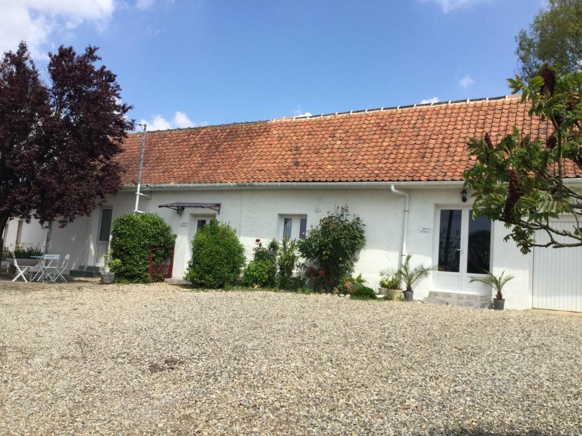 Gites Les Amis De L Authie Maintenay Exterior photo